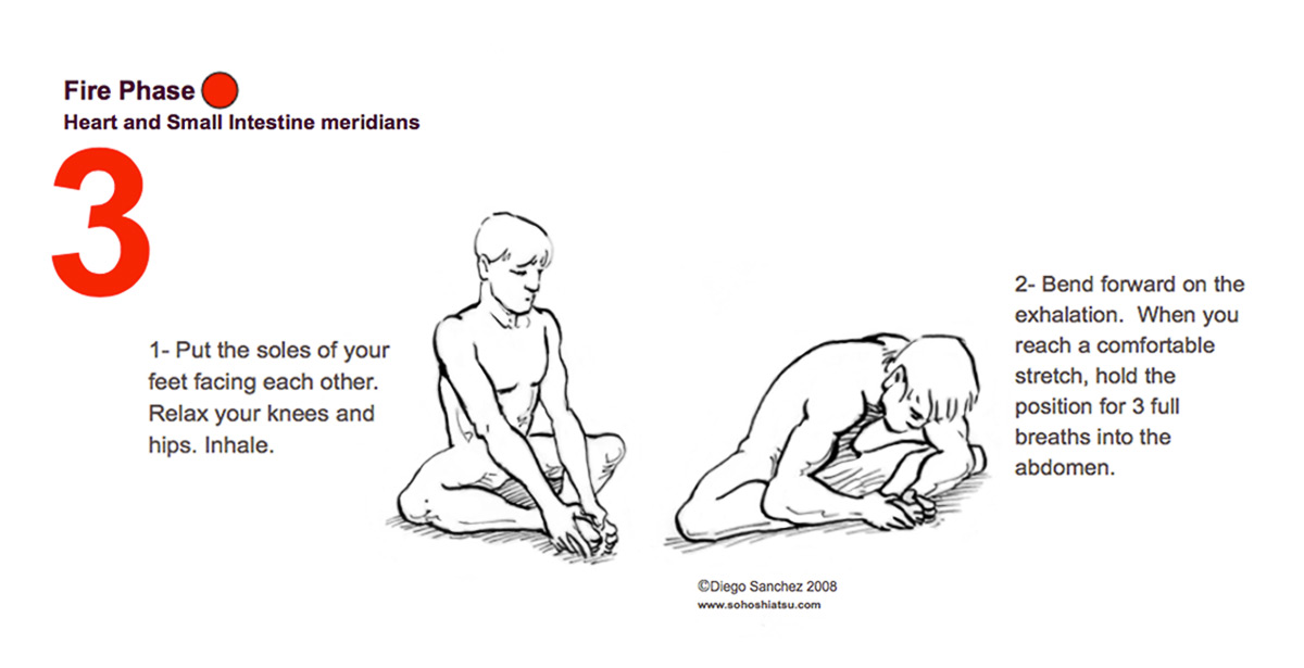 FIRE | Heart & Small Intestines Meridians FIRE | Heart & Small Intestines Meridians