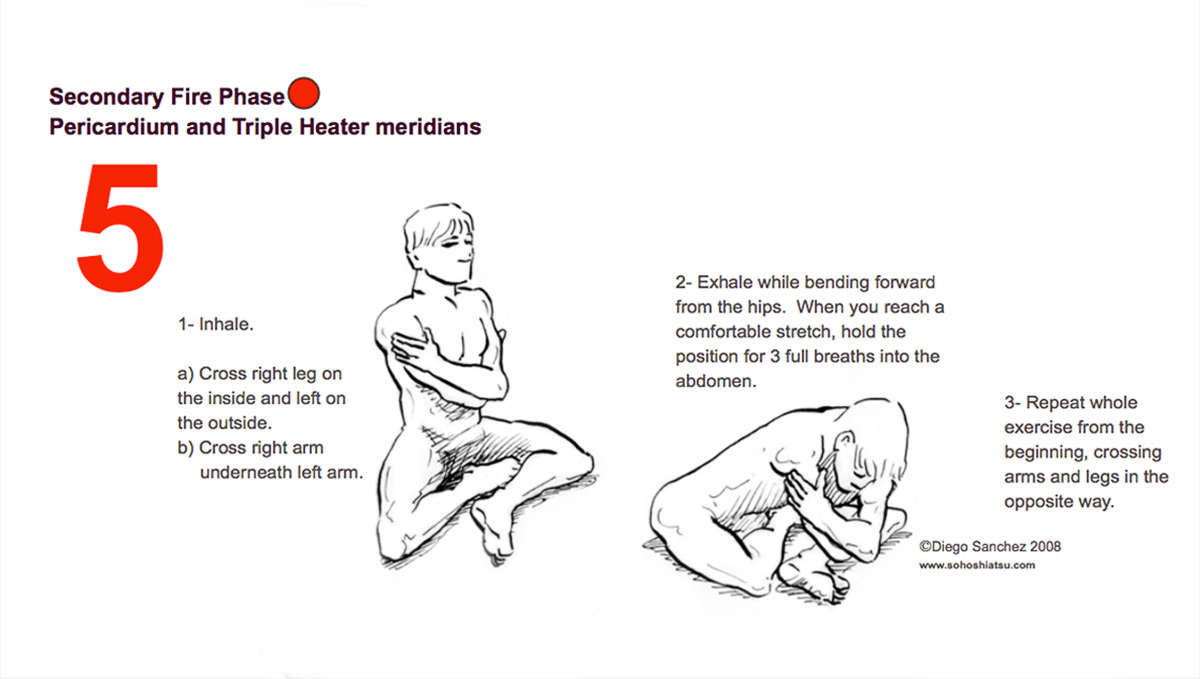 SECONDARY FIRE | Pericardium & Tripple Heater Meridians 5. SECONDARY FIRE | Pericardium & Tripple Heater Meridians