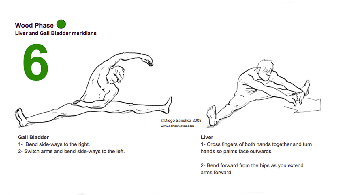 WOOD | Liver & Gall Bladder Meridians 6. WOOD | Liver & Gall Bladder Meridians